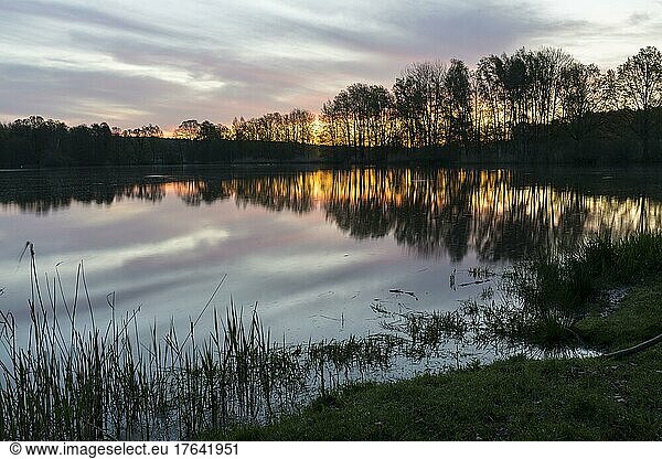 Morning sky in front of sunrise at Heikteich  Biehla-Weißig pond area  Bautzen district  Saxony  Germany  Europe