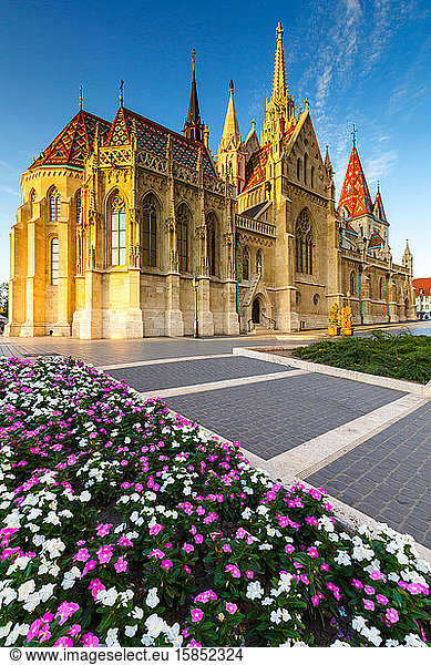 Morning view of Matthias church in historic city centre of Buda.