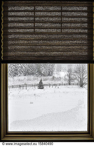 Morning view out my window after winter strom in Northern Michigan