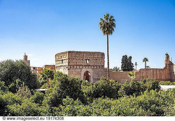 Morocco  Marrakesh-Safi  Marrakesh  Green trees outside El Badi Palace
