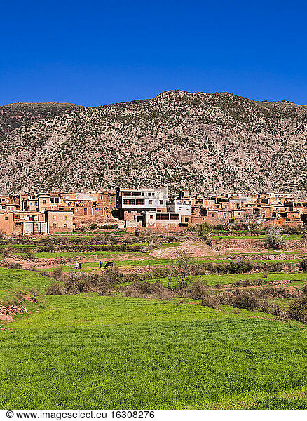 Morocco  Marrakesh-Tensift-El Haouz  Atlas Mountains  Ourika Valley  Village Anammer  Loam houses