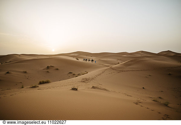 Morocco  Meknes-Tafilalet  Midelt  Merzouga  Dune landscape in the desert Erg Chebbi.