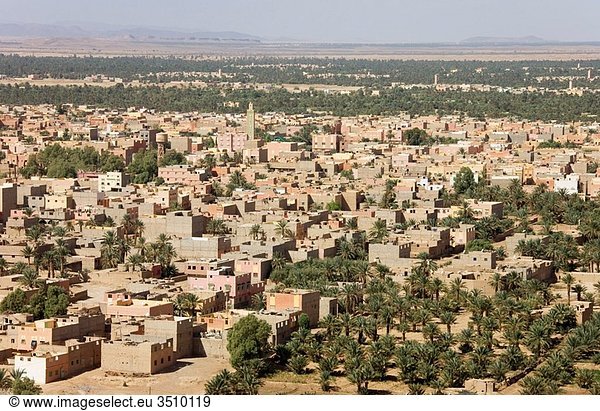 Morocco - The town of Erfoud with its extensive palmeries is situated in the Tafilalt at the edge of the desert Southeast Morocco