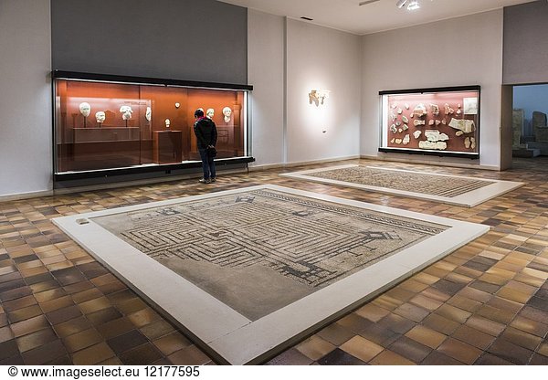 Mosaics and Showcases at the Monographic Museum of Conimbriga  Coimbra District  Baixo Mondego  Centro Region  Portugal  Europe.