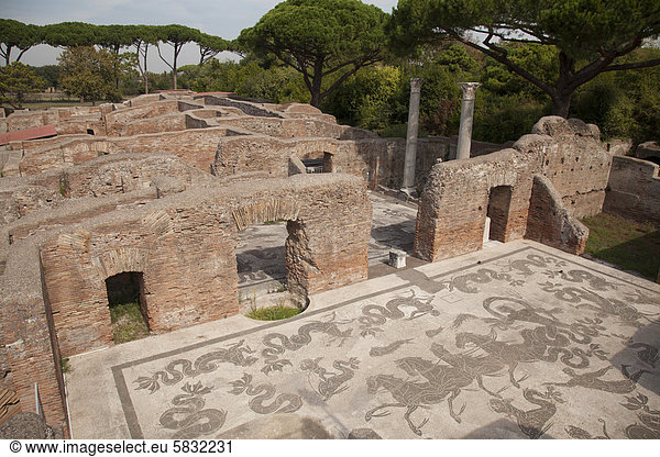 Mosaik,  Terme di Nettuno,  Ruinen in der antiken römischen Hafenstadt Ostia,  Ostia Antica,  Italien,  Europa