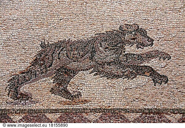Mosaik laufender Bär  Pafos  Haus des Dionysos  die östliche Porticus  Raum 11  Archäologischer Park  Paphos  Republik Zypern