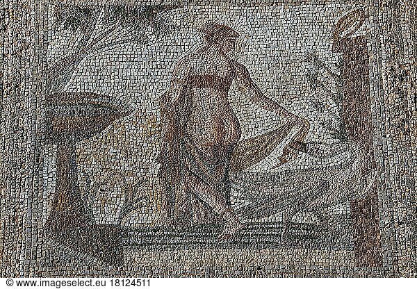 Mosaik Leda und der Schwan  Ausgrabungsstätte Alt-Paphos  Kouklia  Zypern  Europa