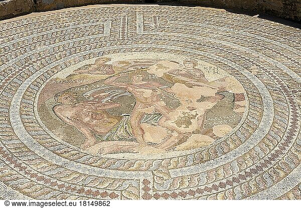 Mosaike im Ausgrabungsgelände von Pafos  Paphos  Süd Zypern