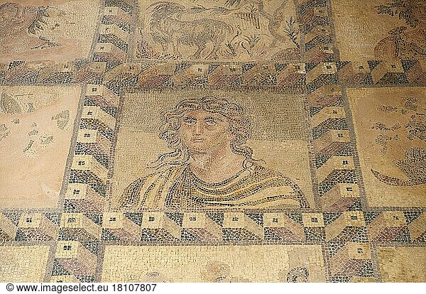 Mosaike im Haus des Dionysos im Ausgrabungsgelände von Pafos  Paphos  Süd Zypern