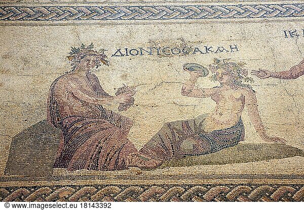 Mosaike im Haus des Dionysos im Ausgrabungsgelände von Pafos  Paphos  Süd Zypern