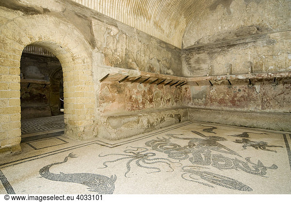 Mosaikfußboden im Apodyterium  Damen-Therme  Ausgrabung der römischen Stadt Herkulaneum  Ercolano  Neapel  Kampanien  Italien  Europa