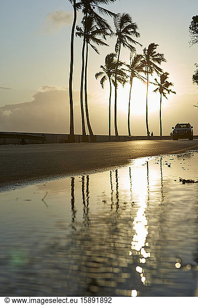 Mosambik  Maputo  Wasserpfütze und Auto fahren bei Sonnenuntergang an Strandpalmen vorbei