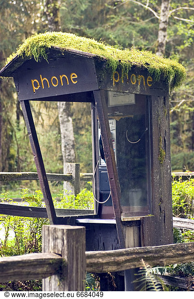 Moss Covered Phone Booth