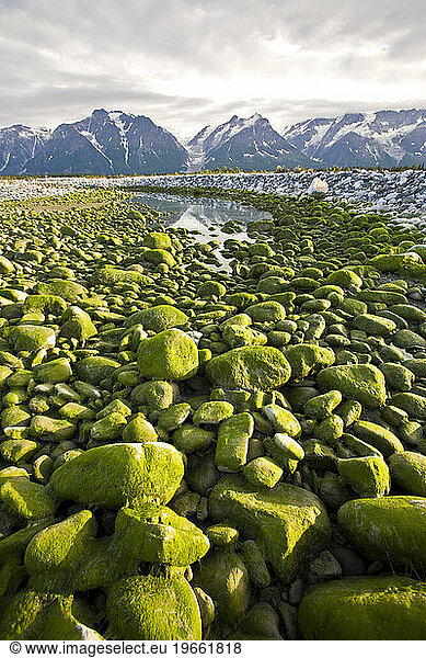 Moss covered rocks and mountains in the Yukon Territory  Canada.