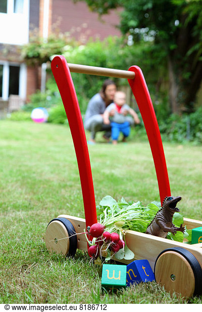 Mother and child with push cart and toys in garden