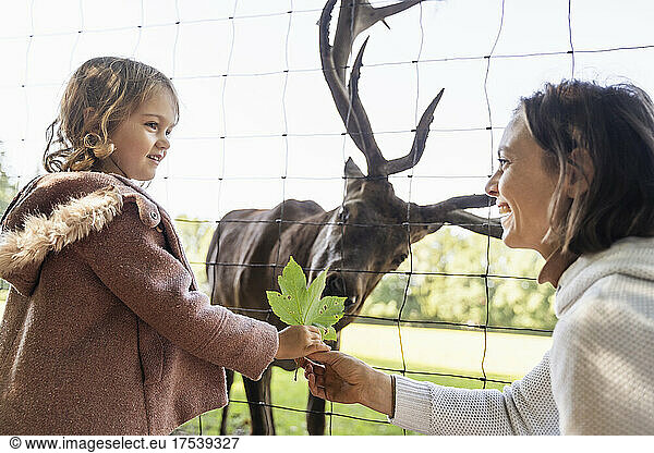 Mother and daughter feeding leaf to stag in park