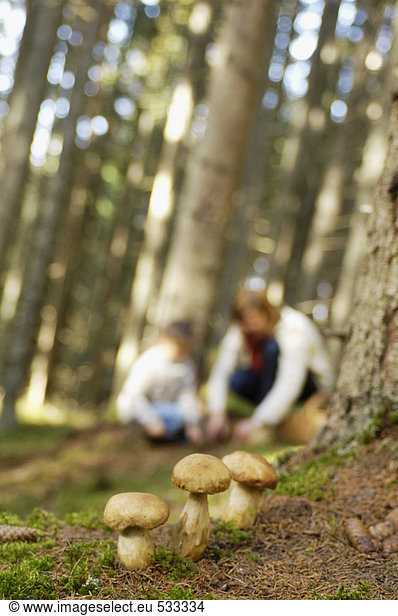 Mother and daughter searching mushrooms in forest
