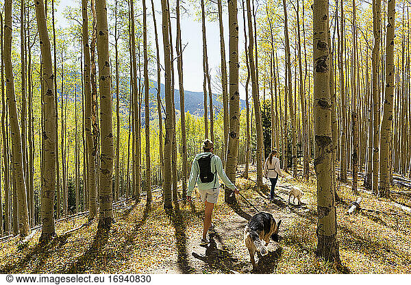mother and daughter walking their dogs on autumn aspen nature trail