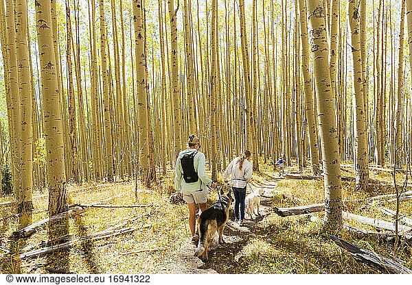 mother and daughter walking their dogs on autumn aspen nature trail