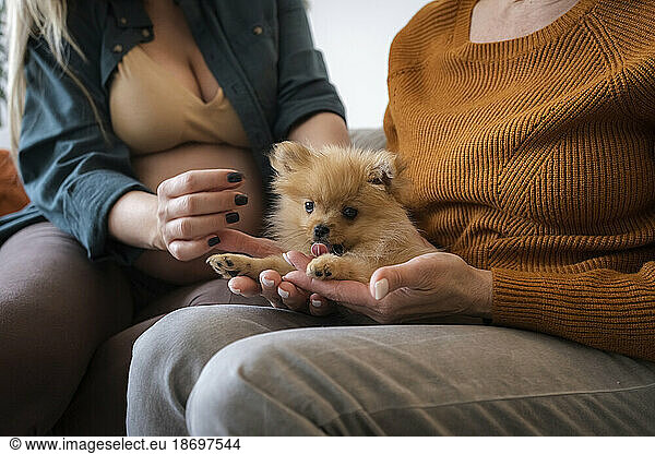 Mother and pregnant daughter holding puppy sitting at home