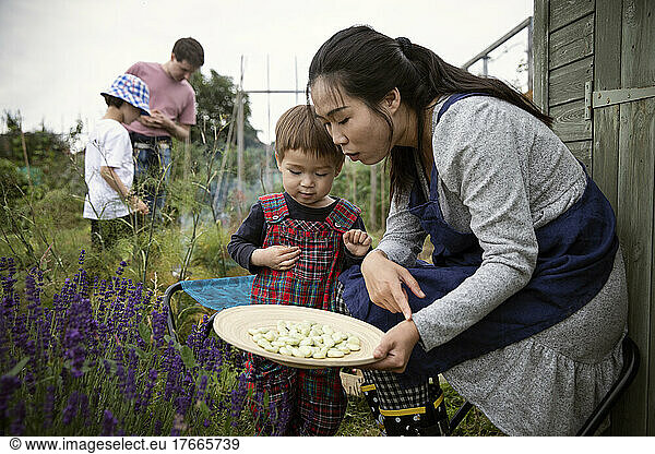 Mother and toddler son with fresh butter beans in garden
