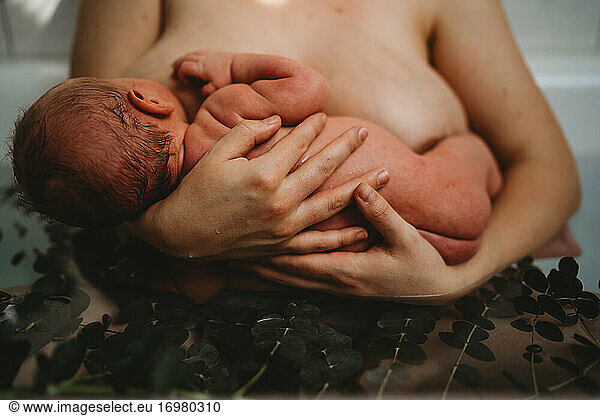 Mother holding newborn baby breastfeeding in bath tub after birth