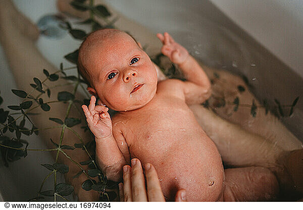 Mother holding newborn baby in bath tub in home birth with eucalyptus