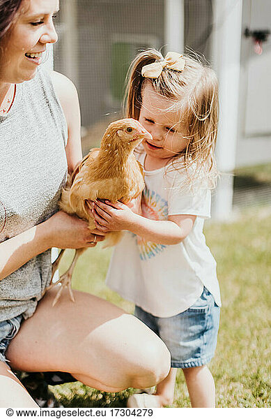 Mother holds chicken as daughter gives it a hug in their backyard