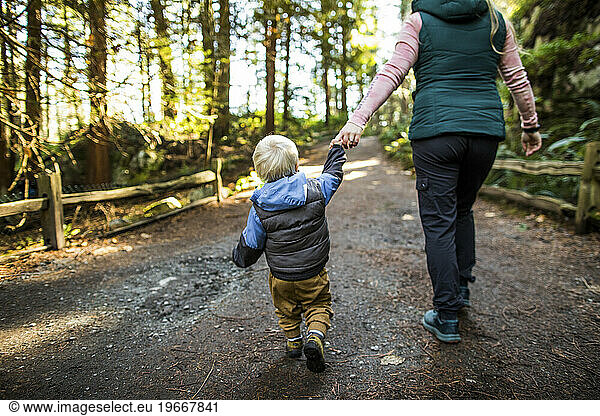 Mother holds toddler hand while hiking on path  forest.