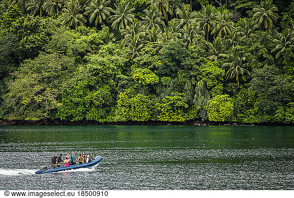 motorboat exploring the jungle of a small island in the Banda Sea