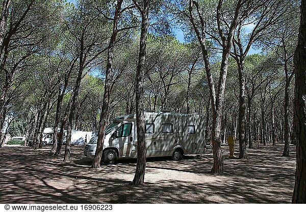 Motorhome between pine trees  campsite  Sardinia  Italy  Europe