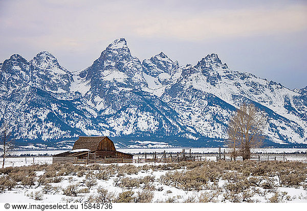 Moulton Barn and Teton Range in Jackson Hole valley in the winter