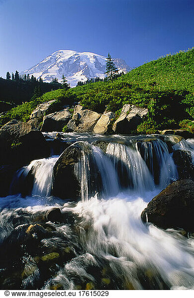 Mount Rainier und Edith Creek Mount Rainier National Park Washington  USA