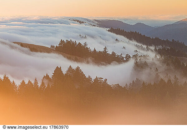 Mount Tamalpais Marin County California Fog