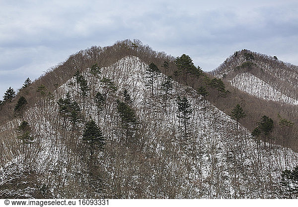Mount Tanigawa under snow  Gunma  Japan