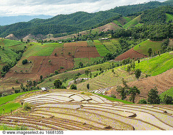 Mountain agricultural area and the rice terraces