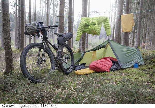 Mountain bike parked by tree trunks with tent and clothesline by it in forest