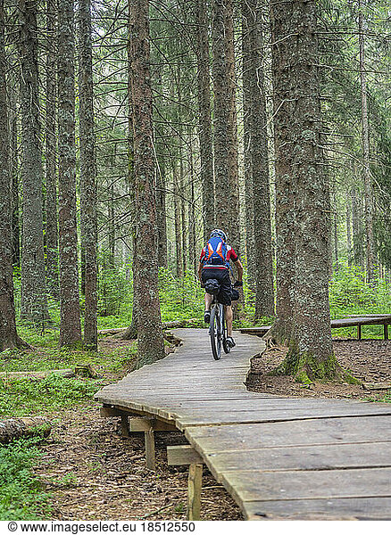 Mountain biker cycling on boardwalk in the forest  near Todtnauberg  Baden-Württemberg  Germany