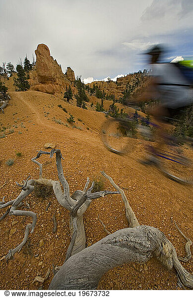 mountain biker going up trail (blurred motion)