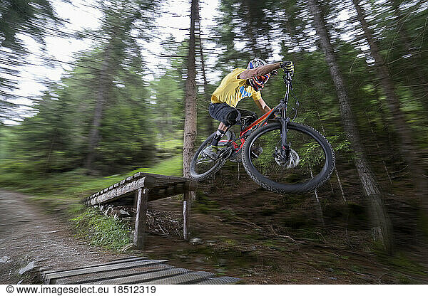 Mountain biker jumping with speed on forest path  Trentino-Alto Adige  Italy