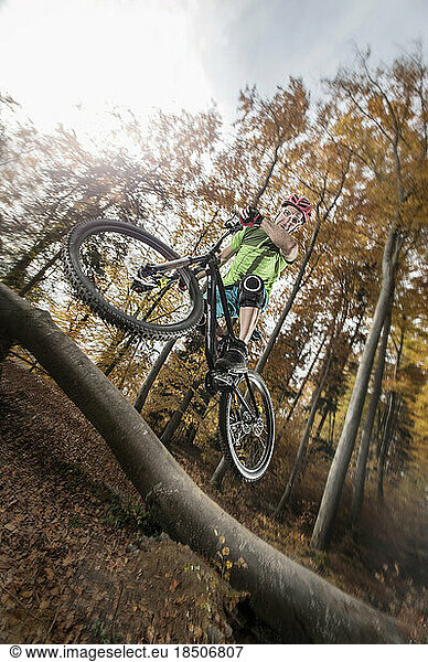 Mountain biker jumps over a tree trunk in forest  Bavaria  Germany
