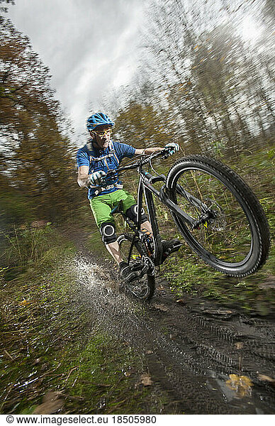 Mountain biker riding on back wheel through puddle in forest  Bavaria  Germany
