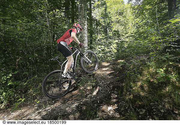 Mountain biker riding on track through forest  Bavaria  Germany