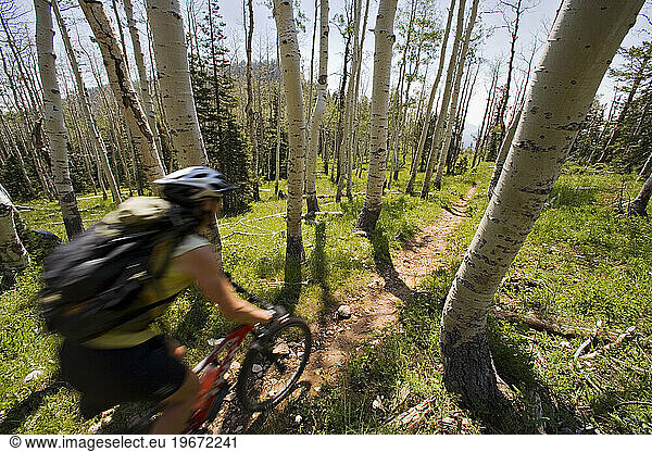 mountain biker riding on trail through aspen forest (blurred motion)