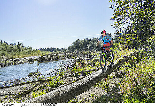 Mountain biker riding on tree trunk in forest  Bavaria  Germany
