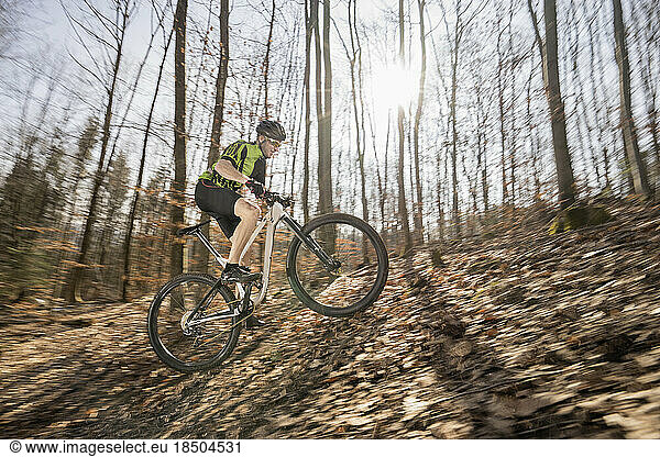 Mountain biker riding uphill on forest track