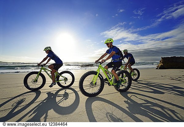 Mountain bikers with Fatbikes at the sandy beach  long shade  bicycle tour at Die Plaat Beach  Nature Reserve  De Kelders  Gansbaai  Western Cape  South Africa  Africa