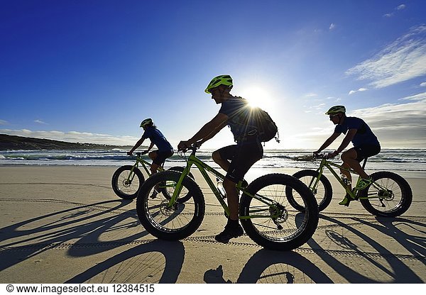 Mountain bikers with Fatbikes at the sandy beach  long shade  bicycle tour at Die Plaat Beach  Nature Reserve  De Kelders  Gansbaai  Western Cape  South Africa  Africa