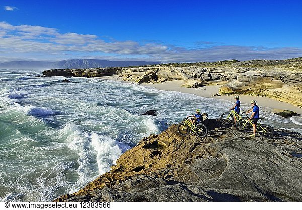 Mountain bikers with Fatbikes on cliff  bicycle tour at Die Plaat Beach  Nature Reserve  De Kelders  Gansbaai  Western Cape  South Africa  Africa