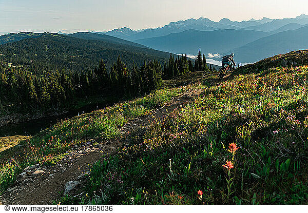 Mountain Biking through alpine meadows of British Columbia